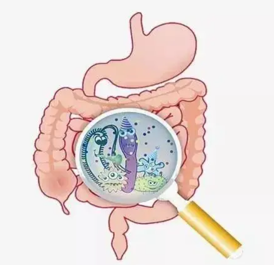 3f1bab3b45d915d56c4d3ad99221d40