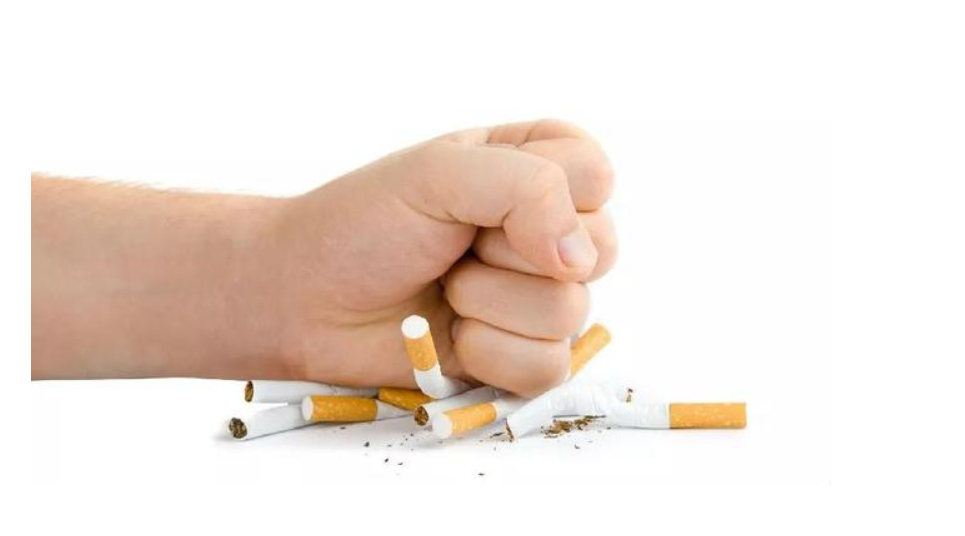 4eb60b1ffd3a8686916e7c1c1a8c342